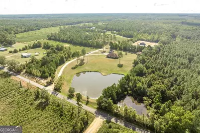 2509 Orphans Cemetery Road, Eastman, GA 31023 - Photo 3