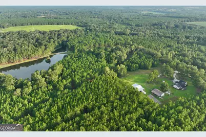 652 L A Peterson Road, Rhine, GA 31077 - Photo 17