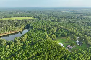 652 L a Peterson Rd, Rhine, GA 31077 - Photo 17