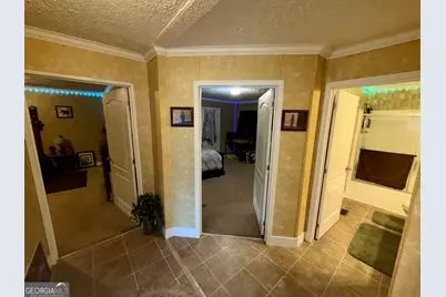 652 L A Peterson Road, Rhine, GA 31077 - Photo 49