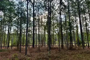 652 L a Peterson Rd, Rhine, GA 31077 - Photo 29