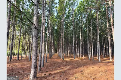 652 L A Peterson Road, Rhine, GA 31077 - Photo 7