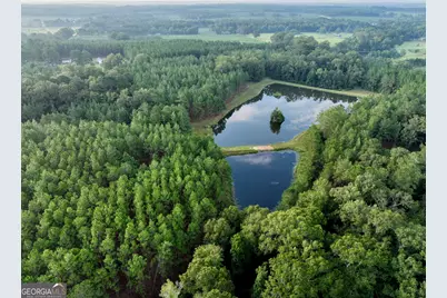 652 L A Peterson Road, Rhine, GA 31077 - Photo 13