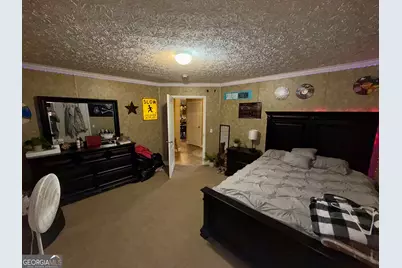 652 L A Peterson Road, Rhine, GA 31077 - Photo 51