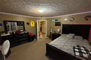652 L a Peterson Rd, Rhine, GA 31077 - Photo 51