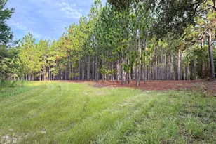 652 L a Peterson Rd, Rhine, GA 31077 - Photo 23