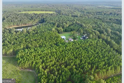 652 L A Peterson Road, Rhine, GA 31077 - Photo 9