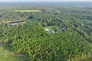 652 L a Peterson Rd, Rhine, GA 31077 - Photo 9