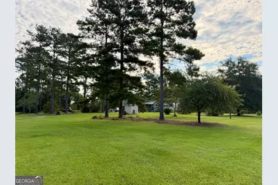 652 L A Peterson Road, Rhine, GA 31077 - Photo 73
