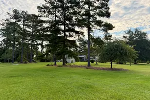 652 L a Peterson Rd, Rhine, GA 31077 - Photo 73