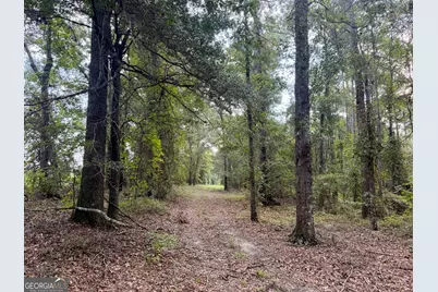 652 L A Peterson Road, Rhine, GA 31077 - Photo 25