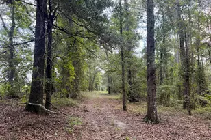 652 L a Peterson Rd, Rhine, GA 31077 - Photo 25