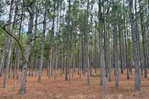 652 L a Peterson Rd, Rhine, GA 31077 - Photo 31