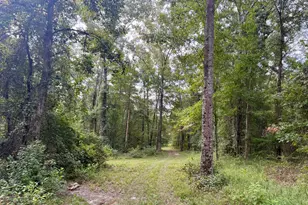 652 L a Peterson Rd, Rhine, GA 31077 - Photo 27