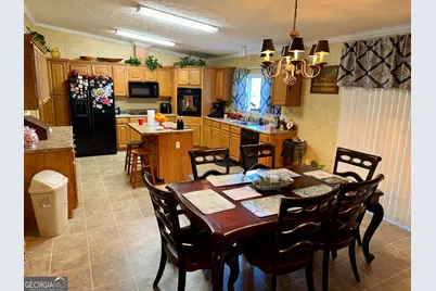 652 L A Peterson Road, Rhine, GA 31077 - Photo 33