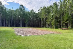 652 L a Peterson Rd, Rhine, GA 31077 - Photo 71