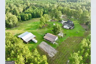 652 L A Peterson Road, Rhine, GA 31077 - Photo 5