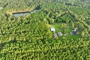 652 L a Peterson Rd, Rhine, GA 31077 - Photo 3