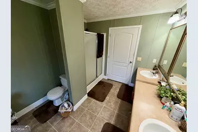 652 L A Peterson Road, Rhine, GA 31077 - Photo 45