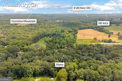 515 Donald Cleveland Road, Mount Airy, GA 30563 - Photo 57