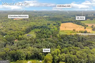 515 Donald Cleveland Rd, Mount Airy, GA 30563 - Photo 57