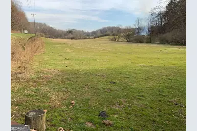 13 Ac Aruthur Anderson Road, Dahlonega, GA 30533 - Photo 3
