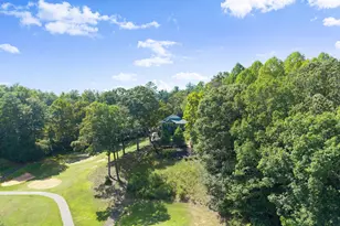 1370 Bahn Innsbruck, Helen, GA 30545 - Photo 51