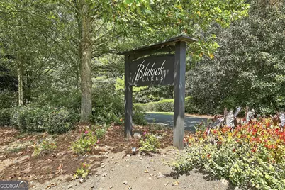 55 Paddleboat Lane, Newnan, GA 30263 - Photo 69