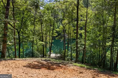 Lt 44&amp;45 Overlook Drive, Cherrylog, GA 30522 - Photo 15