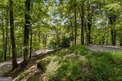 Lt 44&amp;45 Overlook Drive, Cherrylog, GA 30522 - Photo 23