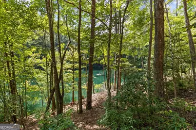 Lt 44&amp;45 Overlook Drive, Cherrylog, GA 30522 - Photo 19