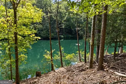 Lt 44&amp;45 Overlook Drive, Cherrylog, GA 30522 - Photo 21