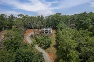 310 Wunder Bear Ridge Rd, Morganton, GA 30560 - Photo 37