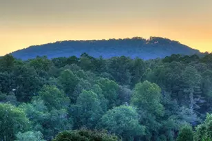 303 Major Ridge Rd, Blue Ridge, GA 30513 - Photo 43