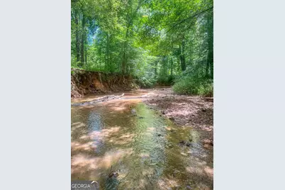 692 Hutchins Wolfskin Road, Stephens, GA 30667 - Photo 53