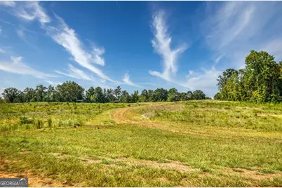 692 Hutchins Wolfskin Road, Stephens, GA 30667 - Photo 57