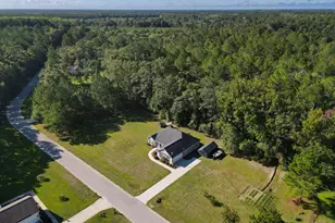 229 Shiloh Dr, Brooklet, GA 30415 - Photo 37