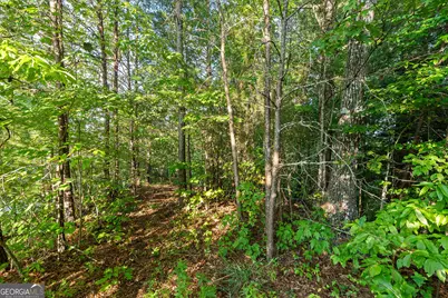 0 Grey Fox Trail B11, Clayton, GA 30525 - Photo 19