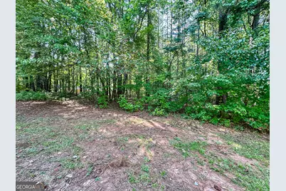 335 Paradise Drive, Douglasville, GA 30134 - Photo 17