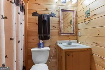 717 Evergreen Lane #4, Mineral Bluff, GA 30559 - Photo 39