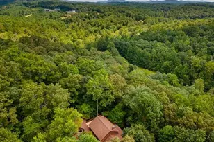 717 Evergreen Ln, Mineral Bluff, GA 30559 - Photo 71
