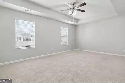 19 White Spruce Way, Newnan, GA 30265 - Photo 25