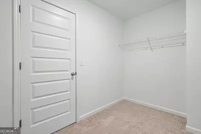 19 White Spruce Way, Newnan, GA 30265 - Photo 27