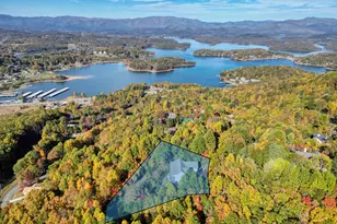 883 Ramey Mountain Rd, Hiawassee, GA 30546 - Photo 3