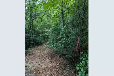 1565 Davis Road, Hiawassee, GA 30546 - Photo 5