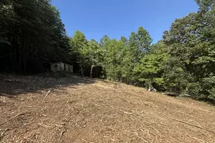 1565 Davis Rd, Hiawassee, GA 30546 - Photo 1