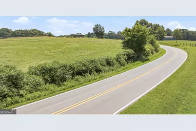 0 Double Bridge Connector #LOT 1, Demorest, GA 30535 - Photo 11