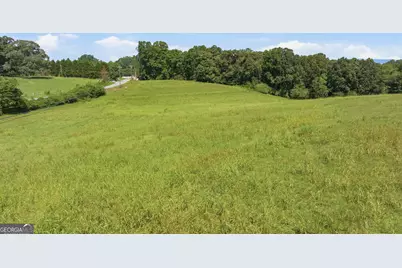 0 Double Bridge Connector #LOT 1, Demorest, GA 30535 - Photo 7