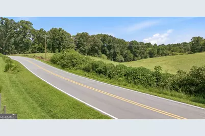 0 Double Bridge Connector #LOT 1, Demorest, GA 30535 - Photo 3