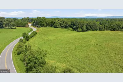 0 Double Bridge Connector #LOT 1, Demorest, GA 30535 - Photo 5